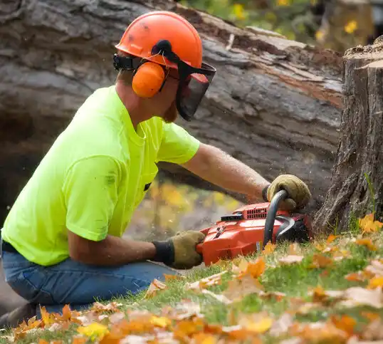 tree services Mount Charleston